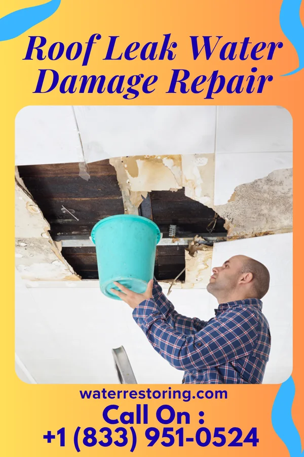 Roof Leak Water Damage Repair in Magnolia, OH