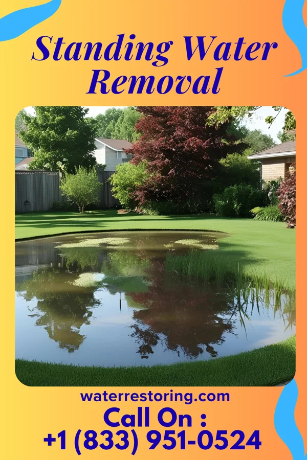 Standing Water Removal in Magnolia, OH